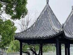 -八大山人梅湖景区