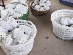 -马陆小张葡萄园农家乐