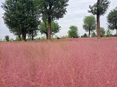 -汉长安城未央宫国家考古遗址公园