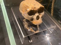 -陕西自然博物馆