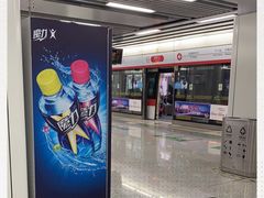 -闸弄口(地铁站)