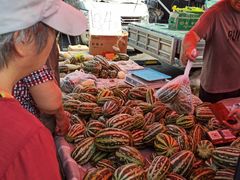 -三旗百汇商品城