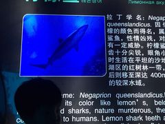 -泉城欧乐堡海洋极地世界