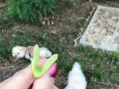 -白鹭湾湿地公园