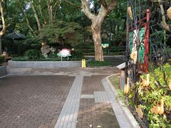 -华山儿童公园