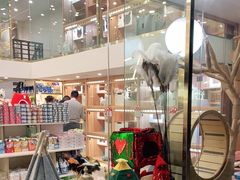 -钦宠·猫咪售卖·洗护·寄养(东圃旗舰店)