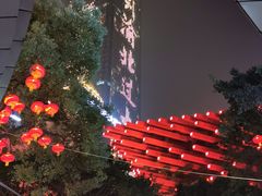 -朱氏胖子烂火锅(洪崖洞店)