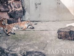 -和平公园