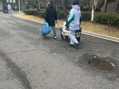 -浙江大学附属中学(丁兰校区)