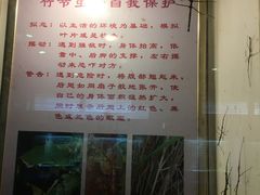 -上海昆虫博物馆