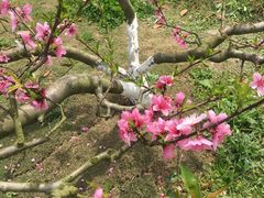 -白鹭湾湿地公园