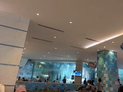 -帝企鹅自助餐厅•儿童岛•真企鹅(长隆企鹅酒店)