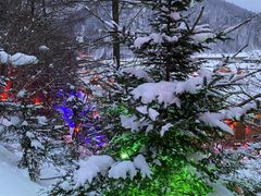 -雪谷