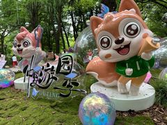 -上海共青森林公园