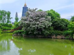 -红梅公园