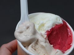 -Dip in Gelato(富民路店)