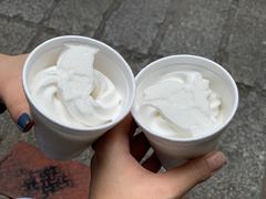 -洪馨椰子