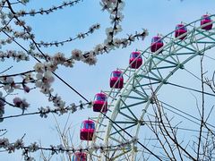 -天津之眼摩天轮