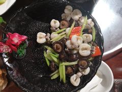 花枝墨鱼仔-东来菜馆•手抓海鲜家常菜•海鲜锅贴(鸽子窝店)
