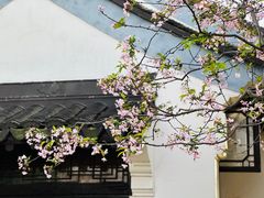-莫愁湖公园