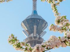 -裕华世纪公园