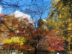 -北海道厅旧本厅舍(旧本庁舎)