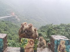 -神农山景区