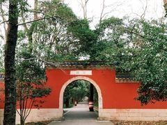 -灵谷景区