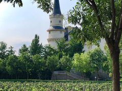 -北京张裕爱斐堡酒庄