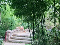 -小仙居·农家宴烤羊· 农庄