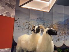 -百草滩羊清水涮羊肉·清真·宁夏盐池滩羊(莲花桥店)