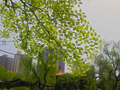 -西苑公园