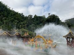 -西双版纳原始森林公园