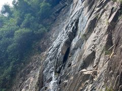 -广州白江湖森林公园