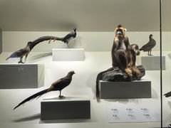 -四川大学博物馆