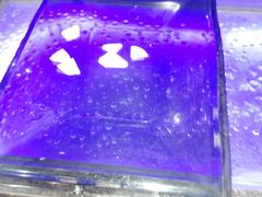 -水都假日酒店-海韵西餐厅(龙胜路店)