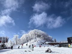 -长白山万达喜来登度假酒店