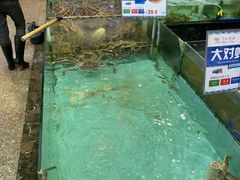 水产区-渔民新村(番禺总店)