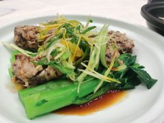 白灼手剁猪肉丸-寻味顺德·珍之宝酒楼(银钻店)