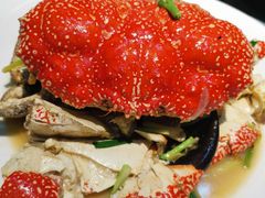 皇帝蟹两吃-驻海渔市(置信店)