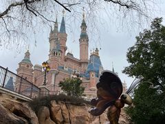 -上海迪士尼度假区