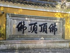-普陀山风景区-佛顶山