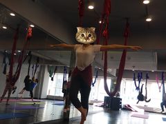 空中瑜伽-舞佳舞空中瑜伽馆