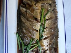 -宾朋海鲜饭庄(兴海路店)