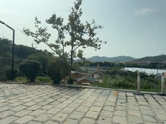 -北马山庄植趣咖啡
