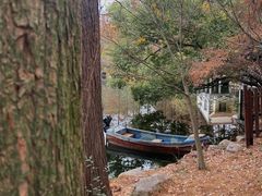 -上海共青森林公园