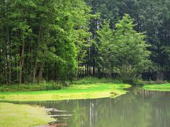 -桤木河湿地公园