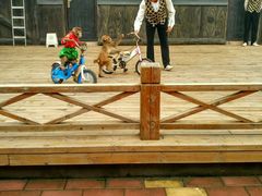 -辛玛王国游乐园