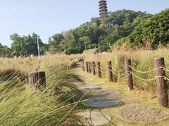 -红花山公园