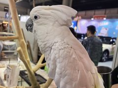 -重庆国际会议展览中心